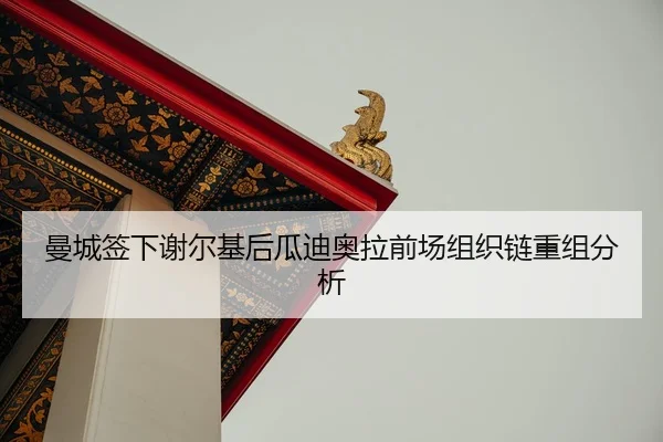 man-cheng-qian-xia-xie-er-ji-hou-gua-di-ao-la-qian-chang-zu-zhi-lian-chong-zu-fen-xi-2-902.jpg