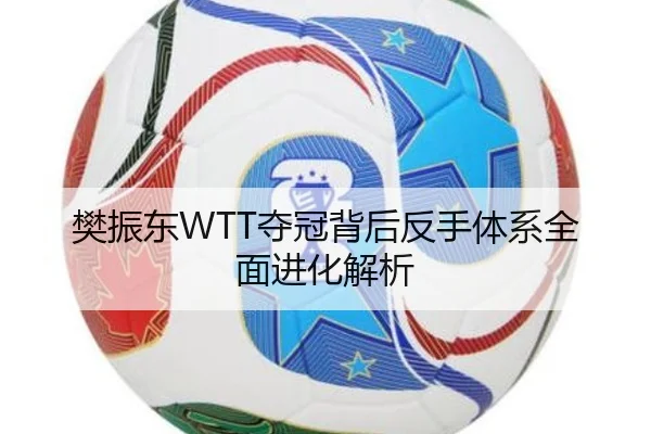 樊振东WTT夺冠背后反手体系全面进化解析